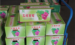 未标题-1.jpg