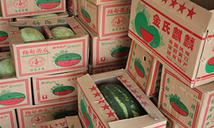 未标题-4.jpg