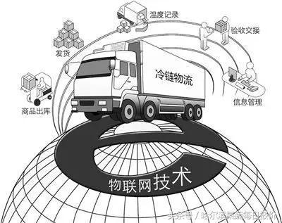 e1265ebefd7387d7.jpg
