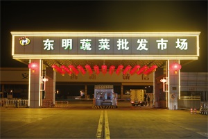 蔬菜.JPG