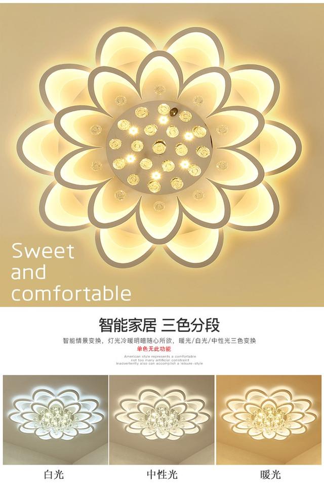 u=1622965553,376351707&fm=173&app=25&f=JPEG.jpg